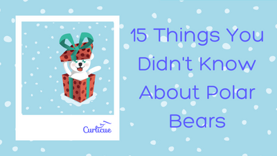 15 Things You Didn't Know About Polar Bears