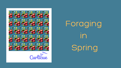 Foraging in Spring